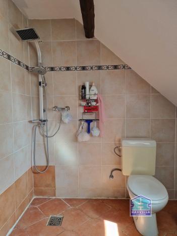 Prodej rodinného domu, Bor - Holostřevy, 184 m2