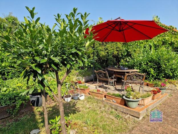 Prodej rodinného domu, Bor - Holostřevy, 184 m2