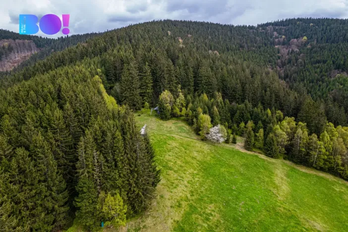 Prodej chalupy, Krásná, 95 m2