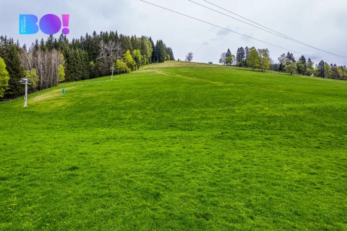 Prodej chalupy, Krásná, 95 m2