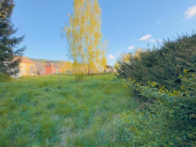 Prodej pozemku pro bydlení, Sloup v Čechách, Komenského, 671 m2