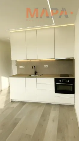 Pronájem bytu 1+kk, Chomutov, Havlíčkova, 21 m2