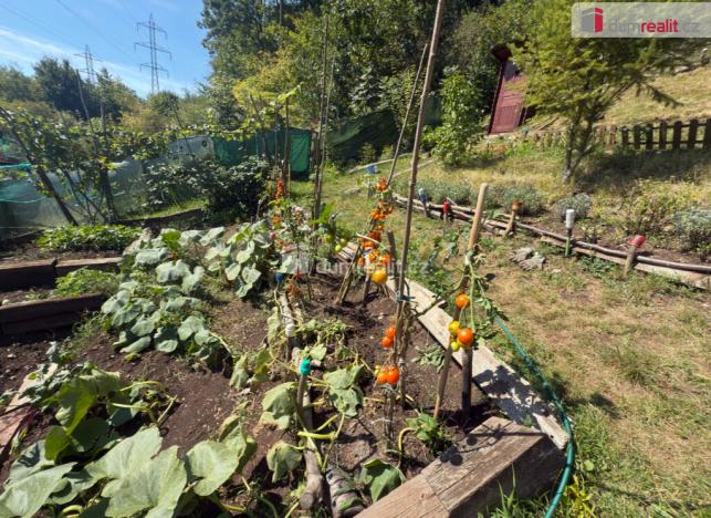 Pronájem zahrady, Ústí nad Labem - Mojžíř, Horní, 693 m2