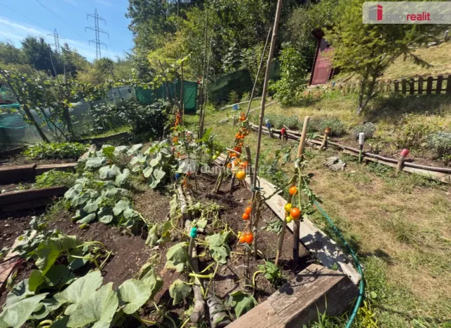 Pronájem zahrady, Ústí nad Labem - Mojžíř, Horní, 693 m2