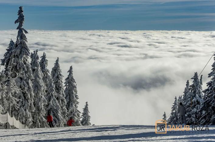 Prodej chaty, Černý Důl, 377 m2