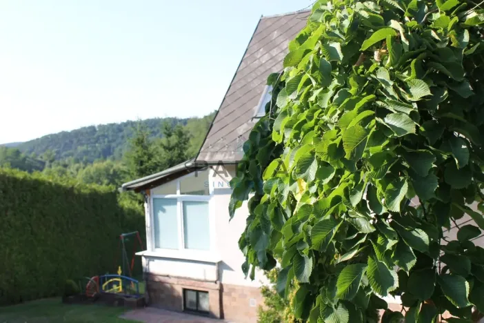 Prodej rodinného domu, Kamenec, 250 m2