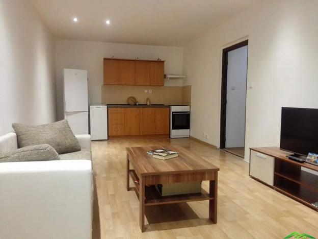 Pronájem bytu 2+kk, Frýdek-Místek, M. Chasáka, 62 m2