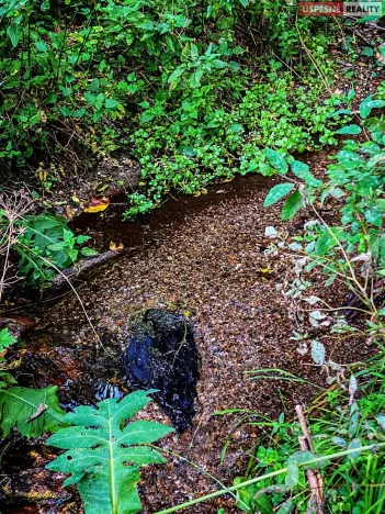 Prodej pozemku pro bydlení, Vítkovice, 3658 m2