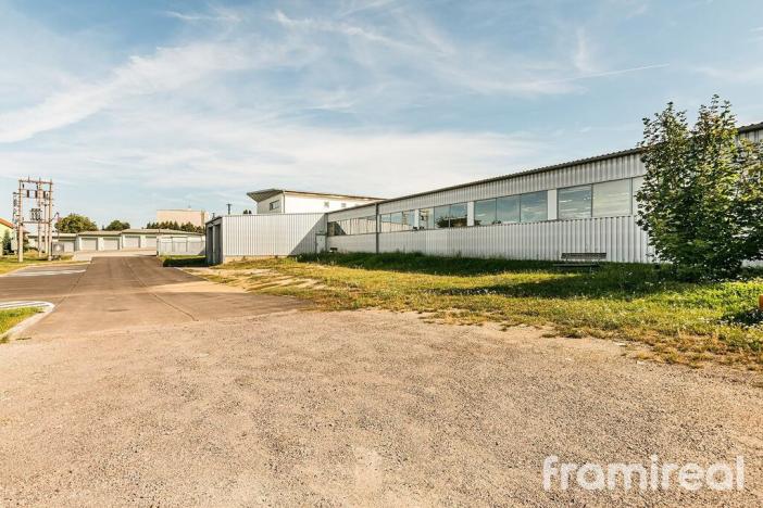 Pronájem výrobních prostor, Suchohrdly, Napoleonova, 4030 m2