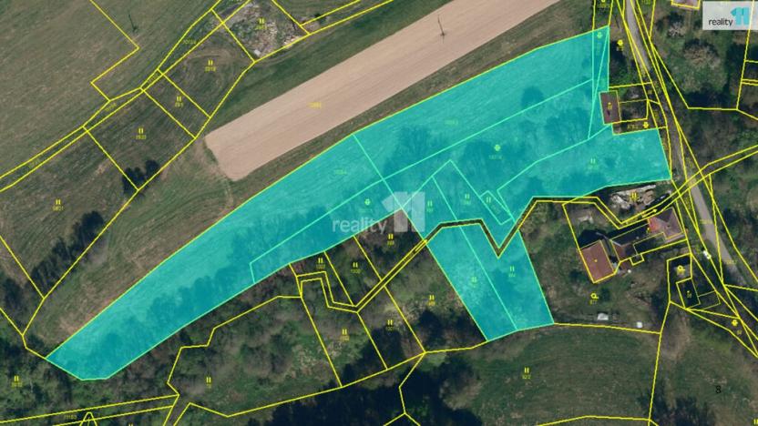 Prodej pozemku pro bydlení, Řečice - Bystrá, 11106 m2