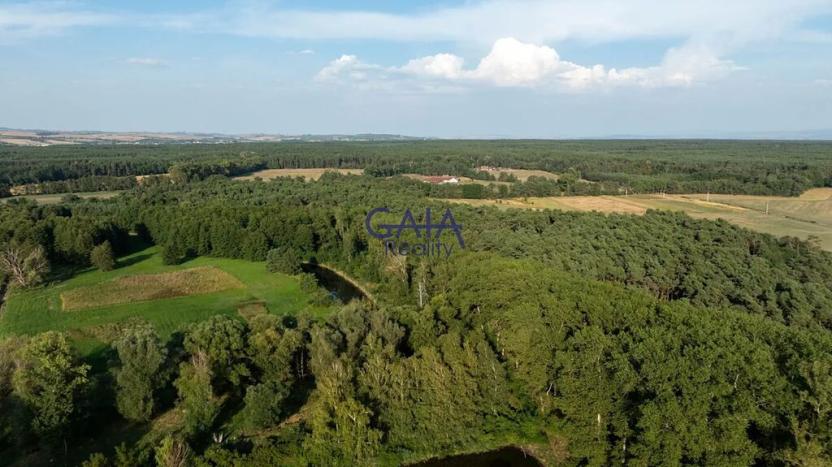 Prodej kanceláře, Vacenovice, Dolní Konec, 692 m2