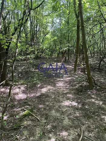 Prodej pozemku, Ždánice, 3224 m2