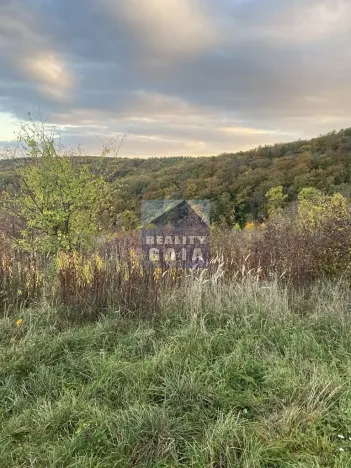 Prodej pozemku, Ždánice, 3224 m2