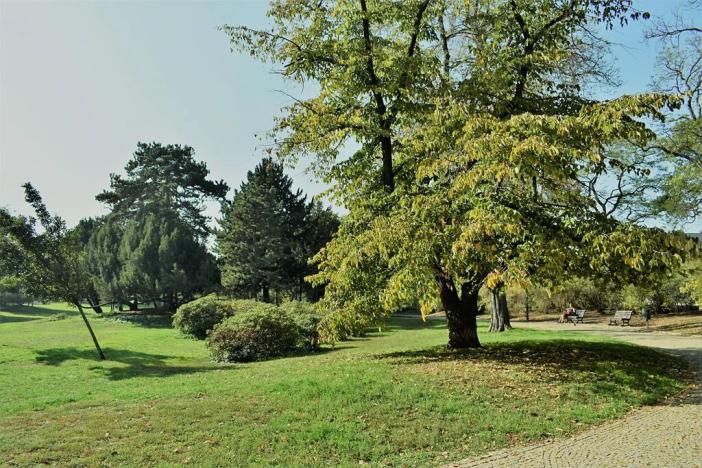 Prodej bytu 2+kk, Praha - Holešovice, Veverkova, 51 m2