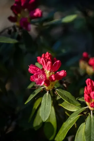 Prodej rodinného domu, Družec, V Zátiší, 289 m2