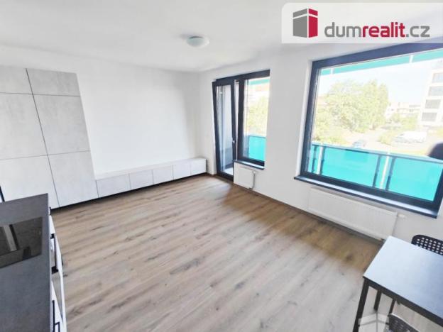 Pronájem bytu 1+kk, Praha - Žižkov, Olgy Havlové, 39 m2