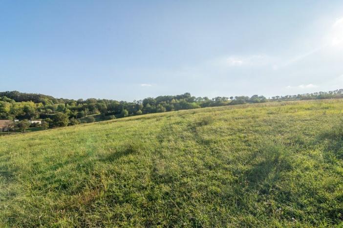 Prodej pozemku pro bydlení, Bystřany - Úpořiny, 14443 m2