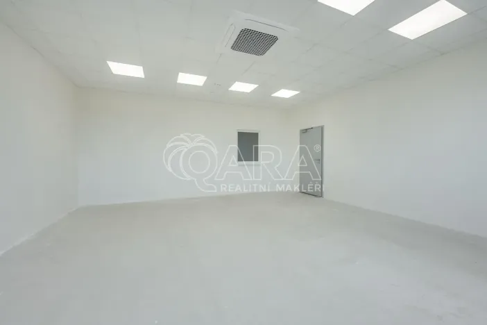 Pronájem skladu, Divišov, 2398 m2