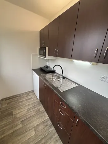Pronájem bytu 1+kk, Hradec Králové - Slezské Předměstí, Severní, 28 m2