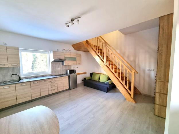 Pronájem rodinného domu, České Budějovice - České Budějovice 2, Husova tř., 53 m2