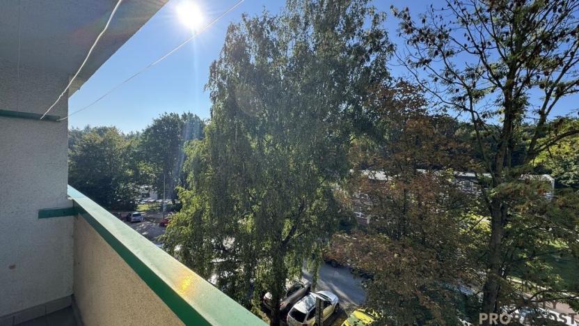 Prodej bytu 1+1, Ostrava, Srbská, 37 m2