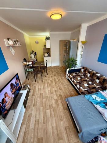 Prodej bytu 2+kk, Krupka, Dlouhá, 39 m2