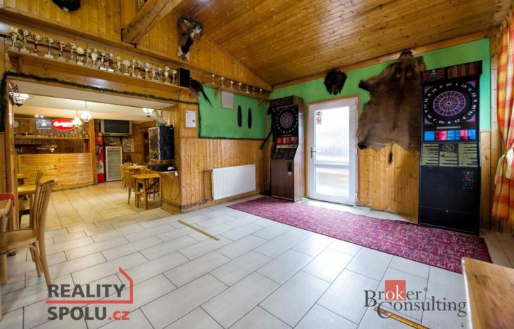 Prodej ubytování, Třebenice, Zimmerova, 332 m2