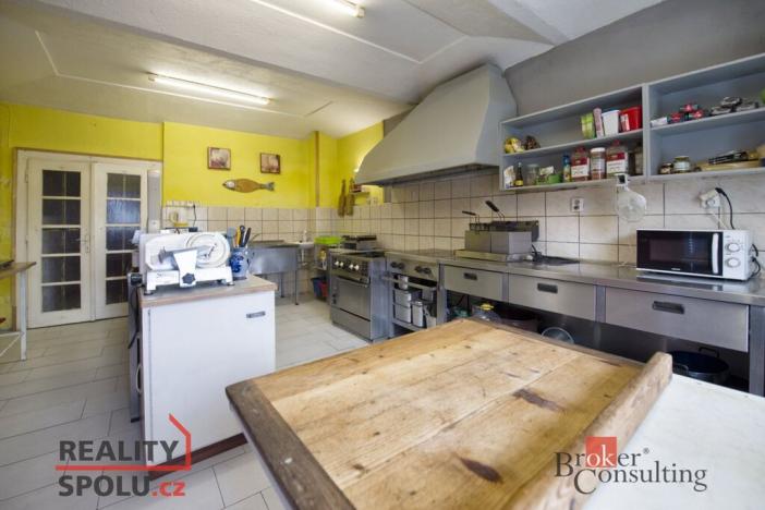 Prodej ubytování, Třebenice, Zimmerova, 332 m2