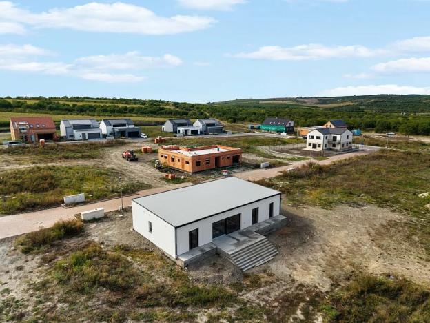 Prodej rodinného domu, Velké Pavlovice, Družstevní, 183 m2