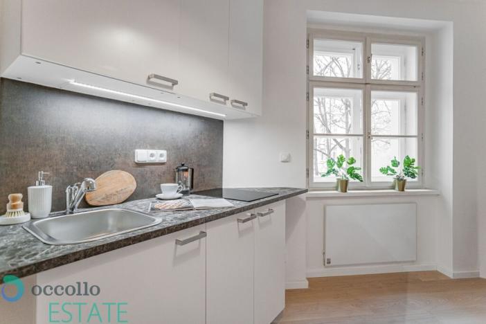 Pronájem bytu 1+kk, Praha, Zelenky-Hajského, 24 m2