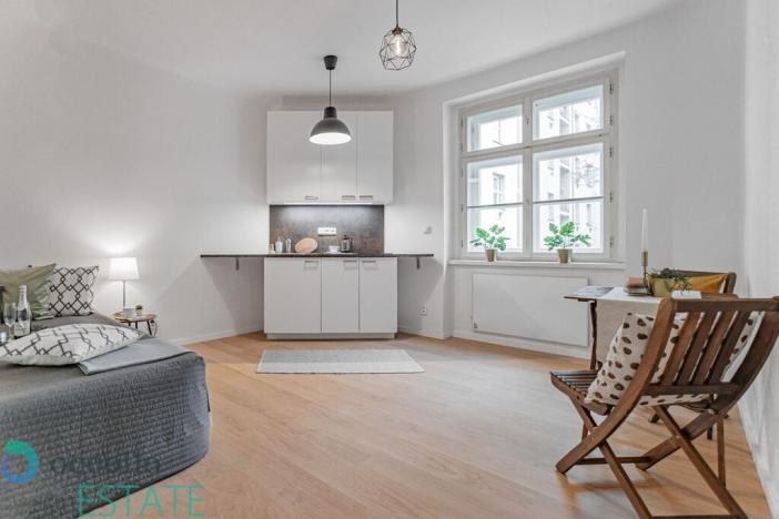 Pronájem bytu 1+kk, Praha, Zelenky-Hajského, 24 m2