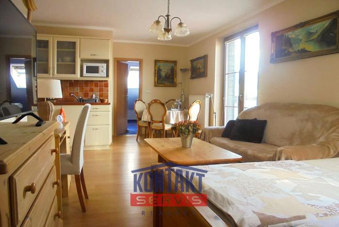Pronájem bytu 1+kk, Železná Ruda, Belvederská, 50 m2
