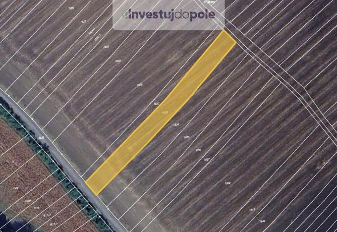 Prodej pole, Radějov, 1219 m2