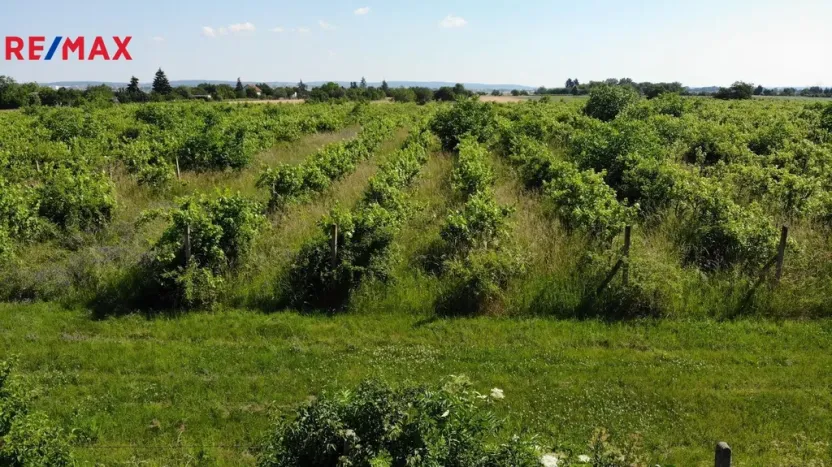 Prodej komerčního pozemku, Brno, 2465 m2