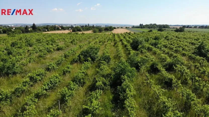 Prodej komerčního pozemku, Brno, 2465 m2