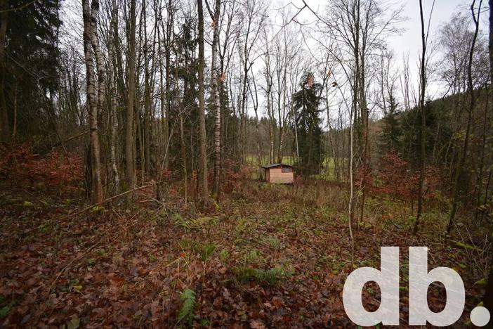 Prodej pozemku, Merklín, 3609 m2