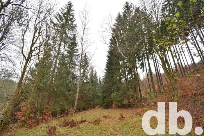 Prodej pozemku, Merklín, 3609 m2