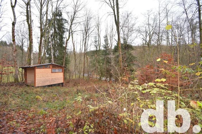 Prodej pozemku, Merklín, 3609 m2