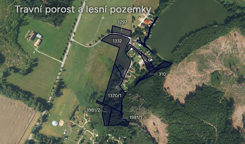 Prodej louky, Počátky, 22259 m2