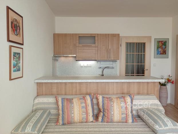 Pronájem bytu 1+kk, Praha - Hostivař, Hostivařská, 29 m2