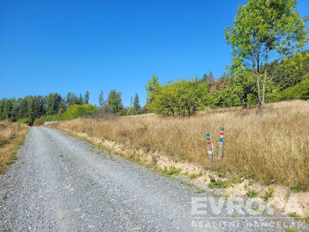 Prodej zahrady, Václavov u Bruntálu, 725 m2