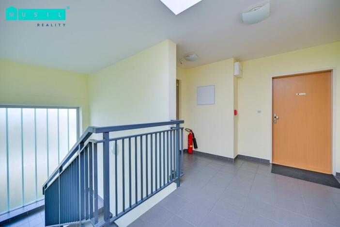 Pronájem bytu 4+kk, Olomouc - Nová Ulice, Mošnerova, 100 m2