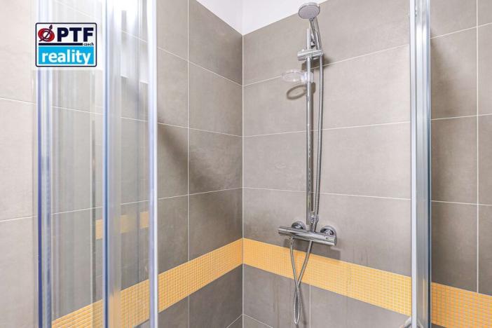 Pronájem bytu 1+kk, Plzeň, Americká, 59 m2