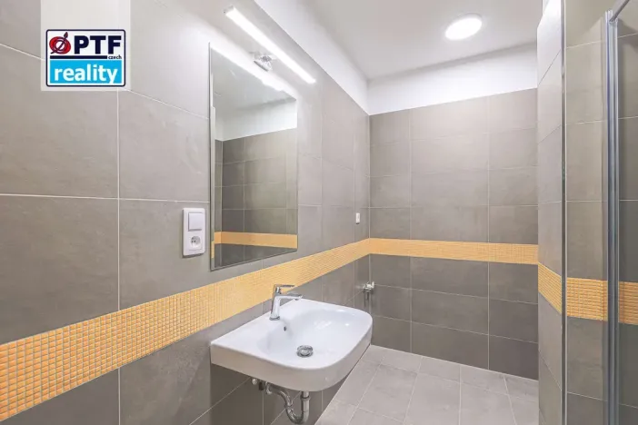 Pronájem bytu 1+kk, Plzeň, Americká, 59 m2