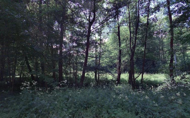 Prodej lesa, Kuřimská Nová Ves, 59760 m2