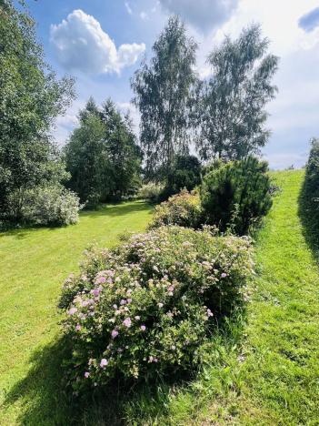 Prodej chaty, Brzice - Proruby, 16 m2