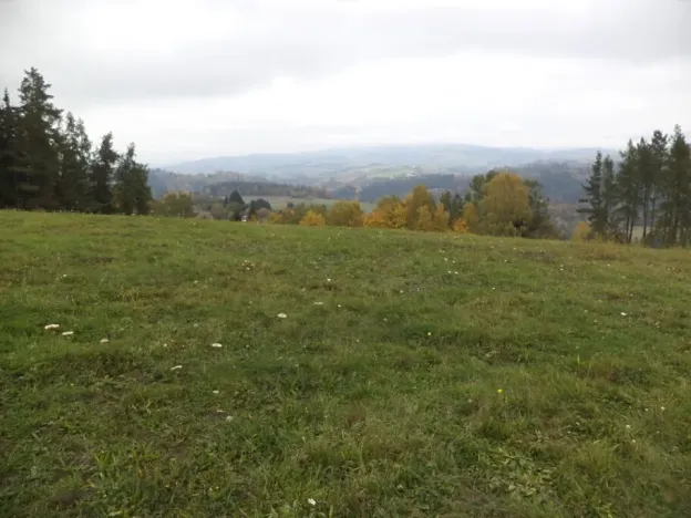 Dražba louky, Vlastiboř, 23043 m2