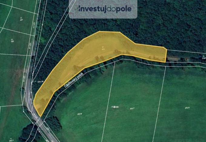 Prodej louky, Částkov, 2698 m2