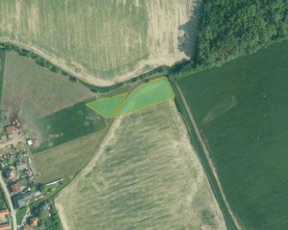 Prodej louky, Olešník, 6019 m2