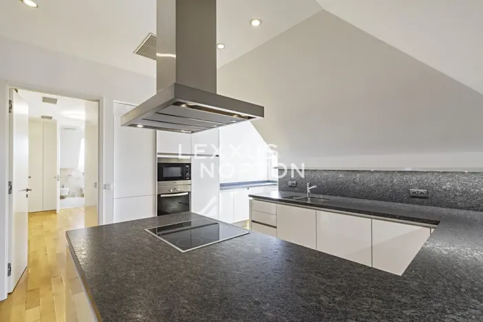 Pronájem bytu 6+kk a větší, Praha - Nové Město, Novomlýnská, 269 m2